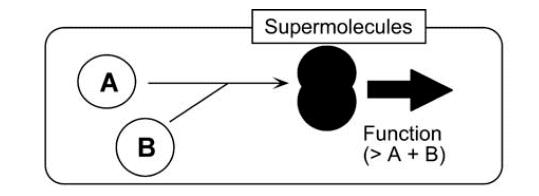 Η υπερμοριακή χημεία δίνει έμφαση στις αλληλεπιδράσεις μεταξύ των μερών που συγκροτούν τα υπερμόρια και στις λειτουργικές δομές που αναδύονται από αυτές τις συσχετίσεις καθώς και στις δυναμικές