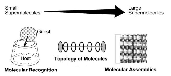 Το πεδίο της υπερμοριακής χημείας, (Lehn: the designed chemistry of the intermolecular bond) είναι τεράστιο και αναπτύσσεται διαρκώς και ταχύτατα προς όλες τις κατευθύνσεις που αφορούν στα φυσικά και