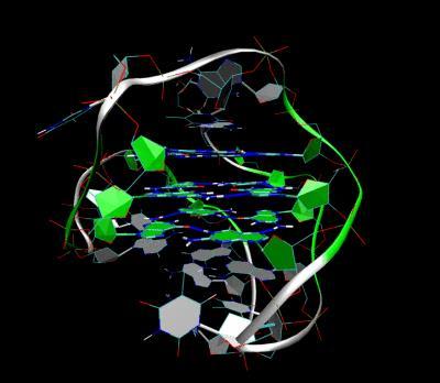 parallel quadruplexes that