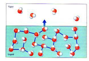 (β) Δεσμός Υδρογόνου Όταν τα μόρια νερού αφήνουν την υγρή φάση για να περάσουν στην αέρια, απορροφούν ενέργεια για να υπερνικήσουν τους