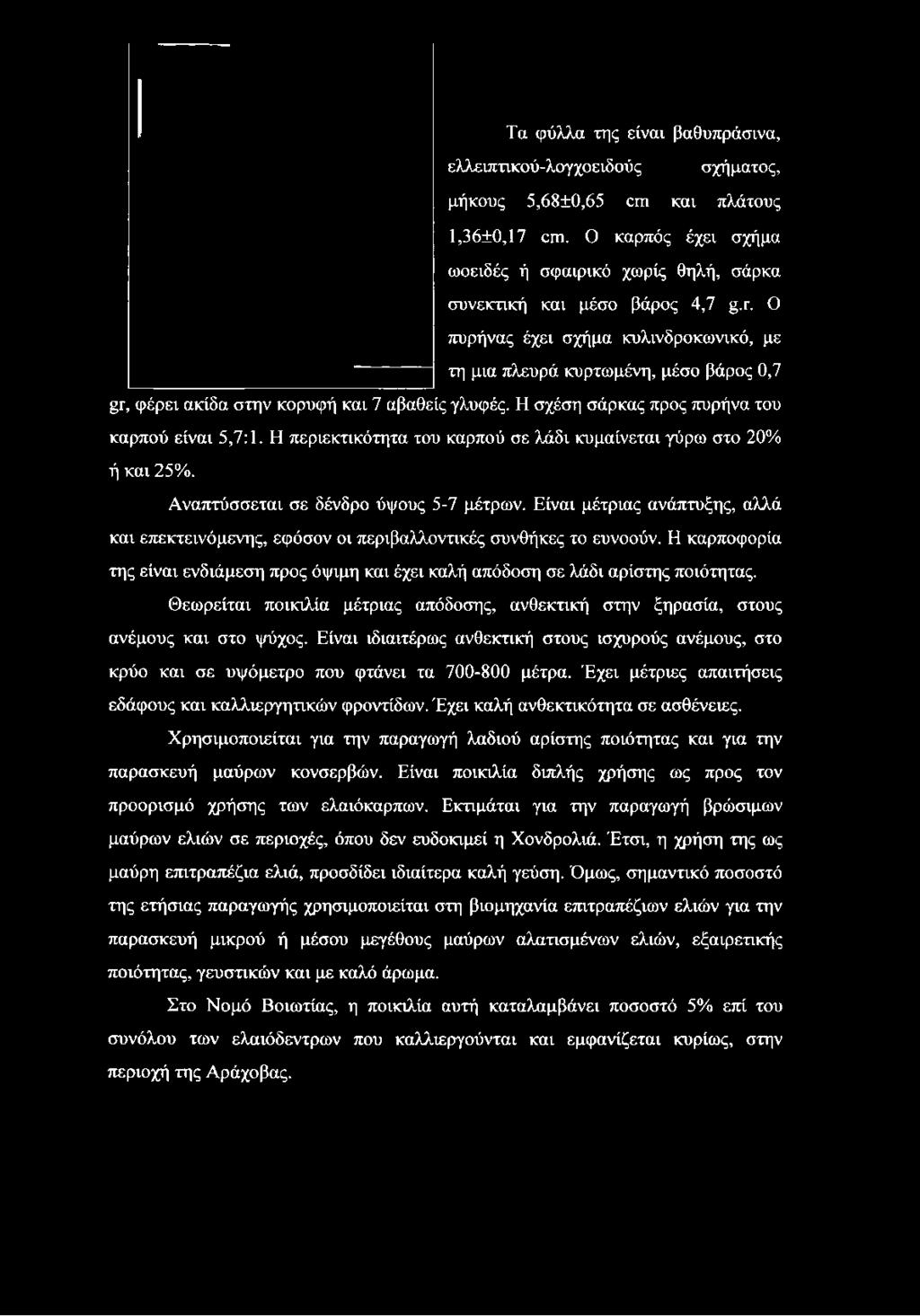 Η περιεκτικότητα του καρπού σε λάδι κυμαίνεται γύρω στο 20% ή και 25%. Αναπτύσσεται σε δένδρο ύψους 5-7 μέτρων.