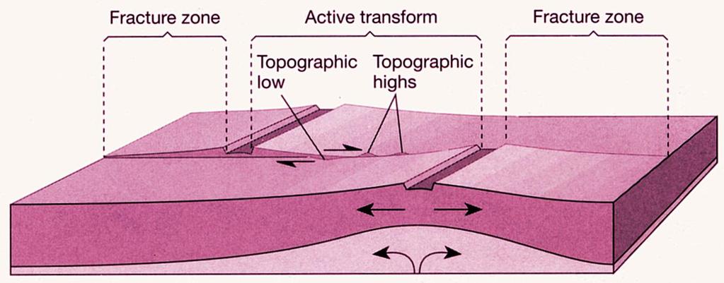 - Ρήγματα μετασχηματισμού, ενεργά «σπασίματα» του ωκεάνιου φλοιού με έντονη τοπογραφία, με εναλλαγή ράχεων και τάφρων, ρήγματα κλπ. - Συνολικό μήκος έως 10.