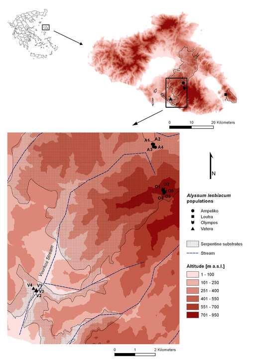 Adamidis et al.