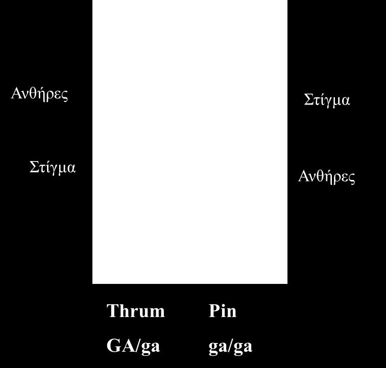 οργανισμών Στα περισσότερα δασικά φυτά η αυτογονιμοποίηση προκαλεί προβλήματα φύτρωσης και