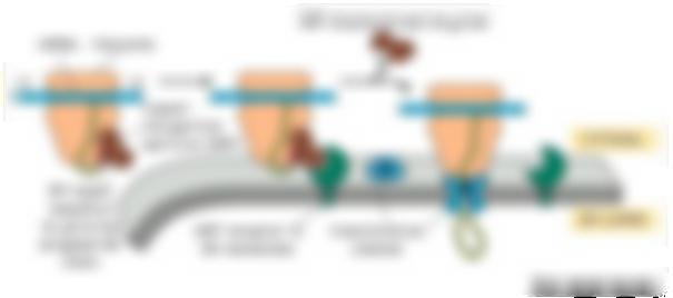 απο το mrna γίνεται