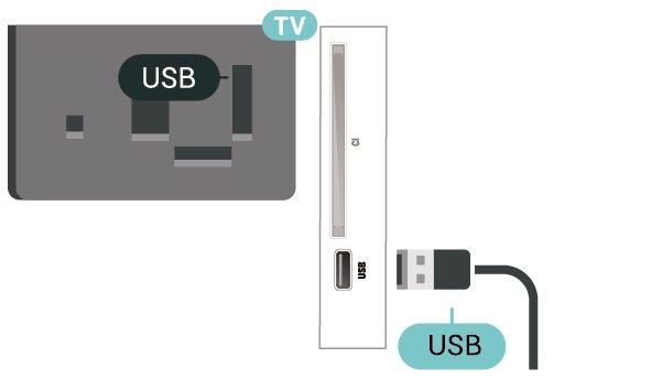 Σκληρός δίσκος USB Αν συνδέσετε έναν σκληρό δίσκο USB, μπορείτε να διακόπτετε προσωρινά ή να εγγράφετε ψηφιακές τηλεοπτικές εκπομπές (εκπομπές DVB ή παρόμοιες).