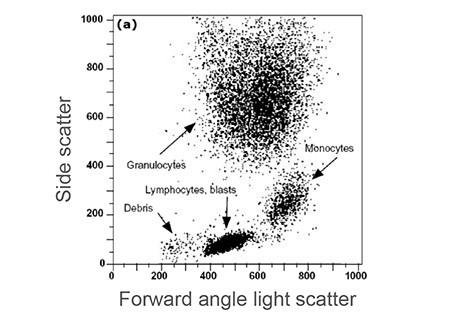 Μία ακτίνα laser προσπίπτει πάνω στο κύτταρο και διαθλάται.