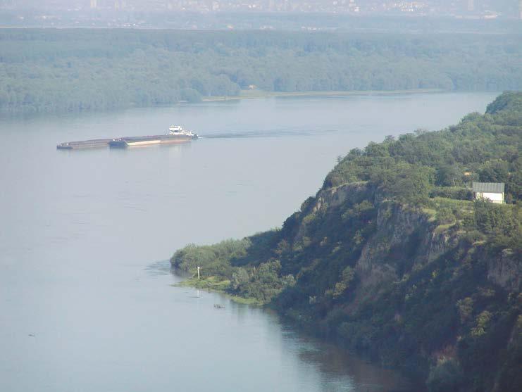 Према Дунаву, на лесним одсецима, активни су процеси урвања и одроњавања леса. Као примарни геоморфолошки облици на њима се истичу сурдуци.