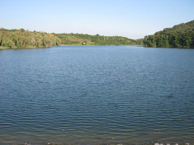 Преграђивањем долине Шидине 1977. године браном дужине око 150 m и висине од 15,6 m настало је језеро Сот (150 m н.в.) (Шушњар, М. 2008, 214).