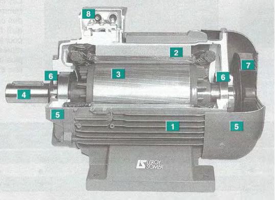 Κεφάλαιο 2 ο Σχήμα 2.3: Επαγωγικός κινητήρας βραχυκυκλωμένου κλωβού σε τομή.