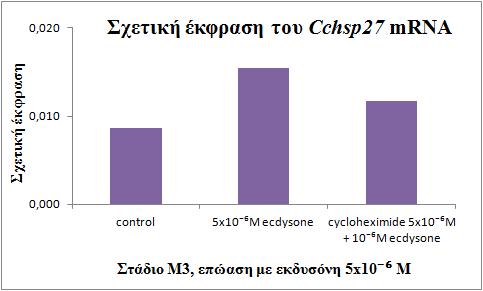 ~ 100 ~ Εικόνα 4.10. Σχετική έκφραση του Cchsp27 mrna στους όρχεις αρσενικών (Μ3) ύστερα από επώαση με εκδυσόνη για 5 ώρες. Η έκφραση του Cchsp27 mrna εκτιμήθηκε με τη μέθοδο two-step real-time PCR.