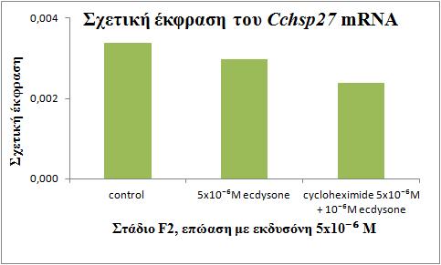 Η έκφραση του Cchsp27 mrna εκτιμήθηκε με τη μέθοδο two-step real-time PCR. Μάρτυρας, ωοθήκες που επωάστηκαν απουσία κυκλοεξαμιδίου και εκδυσόνης. Στο πείραμα που περιγράφεται στην εικόνα 4.