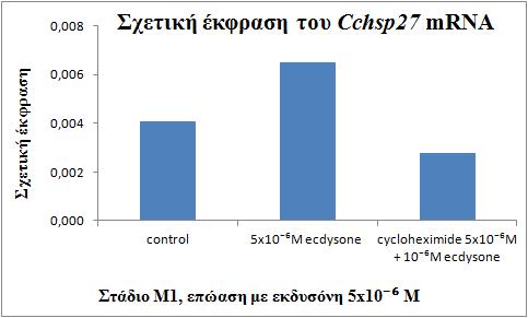 ~ 99 ~ για μισή ώρα και μετά προστέθηκε εκδυσόνη σε τελική συγκέντρωση 5x10-6 M. Η επώαση διήρκησε 5 ώρες. Εικόνα 4.8.