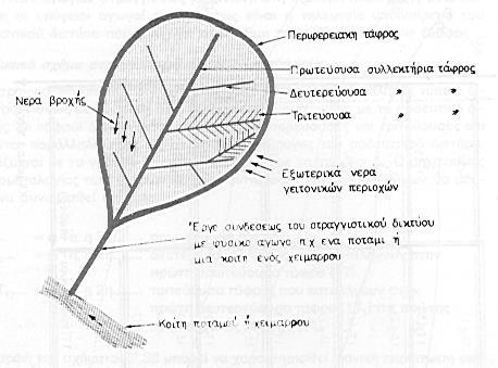 8.1 Τυπικό σχήμα στραγγιστικών δικτύων 8.1.1 Γενικό σχήμα στραγγιστικού δικτύου Ο μηχανικός ή ο γεωπόνος οφείλει να σχεδιάσει στην υπό στράγγιση περιοχή ένα αποτελεσματικό στραγγιστικό δίκτυο