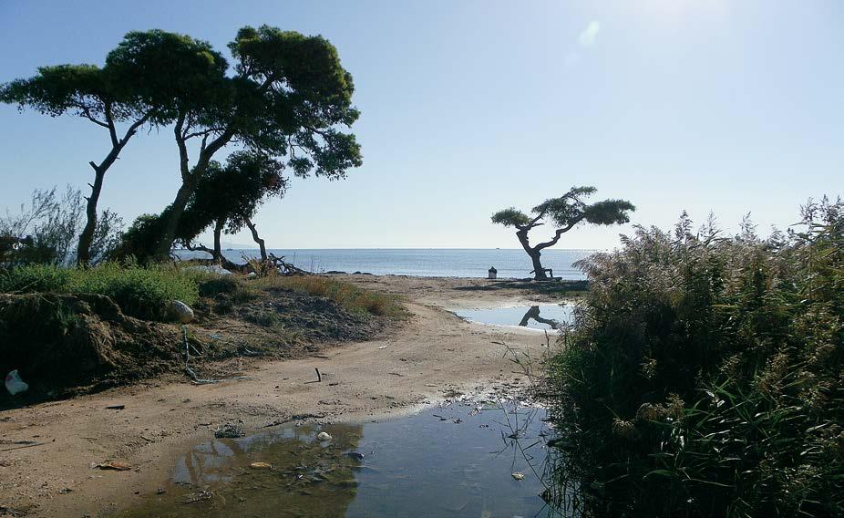 Μικρή επιφανειακή απορροή μόλις νότια της Λιμνοθάλασσας κοντά στις παλιές θίνες όπου βρίσκεται και ο αρχαίος ναός της Ταυροπόλου Αρτέμιδας (φωτ. Σταμάτης Ζόγκαρης).