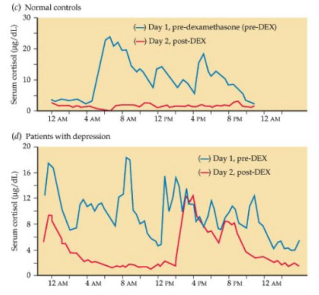 Η δοκιµασία καταστολής µε δεξαµεθαζόνη µπορεί να χρησιµοποιηθεί ως βιολογικός δείκτης κατάθλιψης Σε φυσιολογικά άτοµα η δεξαµεθαζόνη καταστέλει την απελευθέρωση κορτιζόλης Σε πολλά καταθλιπτικά