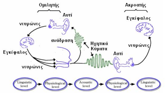 Εικόνα 1.1 Η αλυσίδα επικοινωνίας από άνθρωπο σε άνθρωπο μέσω της ομιλίας 1.