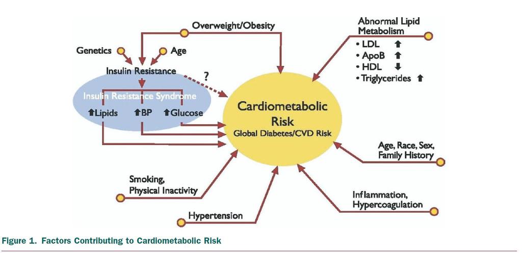Εικόνα 4: Παράγοντες που συνεισφέρουν στον καρδιομεταβολικό κίνδυνο 2 1.3.