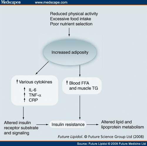 Possible pathway by which inflammation and obesity interact and