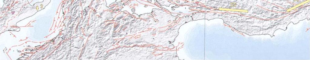 Seismic Faults and