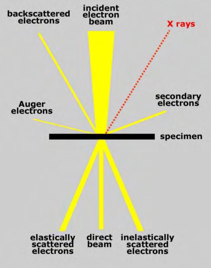 ενέργεια των ηλεκτρονίων στο στερεό, το οποίο διεγείρεται και εκπέμπει κυρίως δευτερογενή ηλεκτρόνια, ηλεκτρόνια Auger, αλλά και ακτίνες Χ.