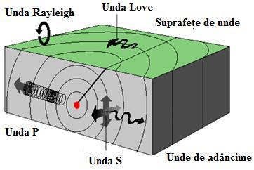 Fig. 10. Tipuri de unde seismice (după BSSC), Undele de volum se propagă cu viteze mai mari decât undele de suprafață, ele sunt primele vibrații care se resimt într-un amplasament.