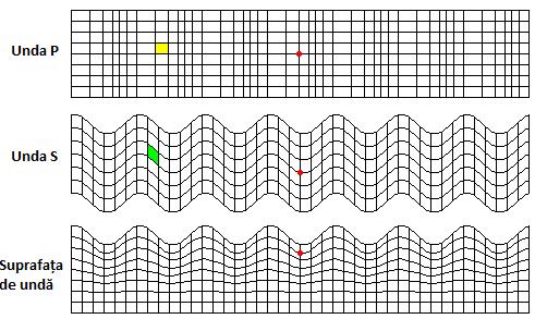 1 Undele de volum P (unde primare sau unde de compresiune) sunt cele mai rapide unde seismice, ele ajung primele (prima vibrație simțită în timpul seismelor).