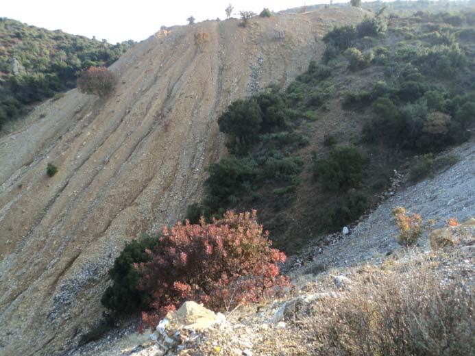 Διάβρωση ημιορεινών περιοχών (Δημοτική Ενότητα Ανθεμούντα) Εκτίμηση κινδύνου