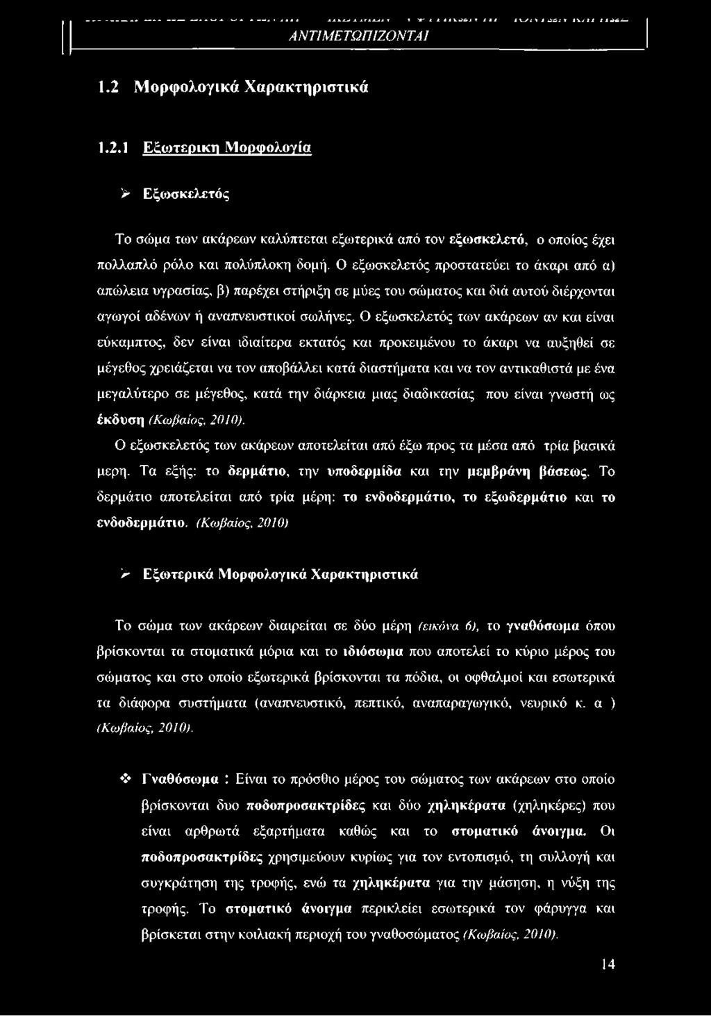 Ο εξωσκελετός προστατεύει το άκαρι από α) απώλεια υγρασίας, β) παρέχει στήριξη σε μύες του σώματος και διά αυτού διέρχονται αγωγοί αδένων ή αναπνευστικοί σωλήνες.