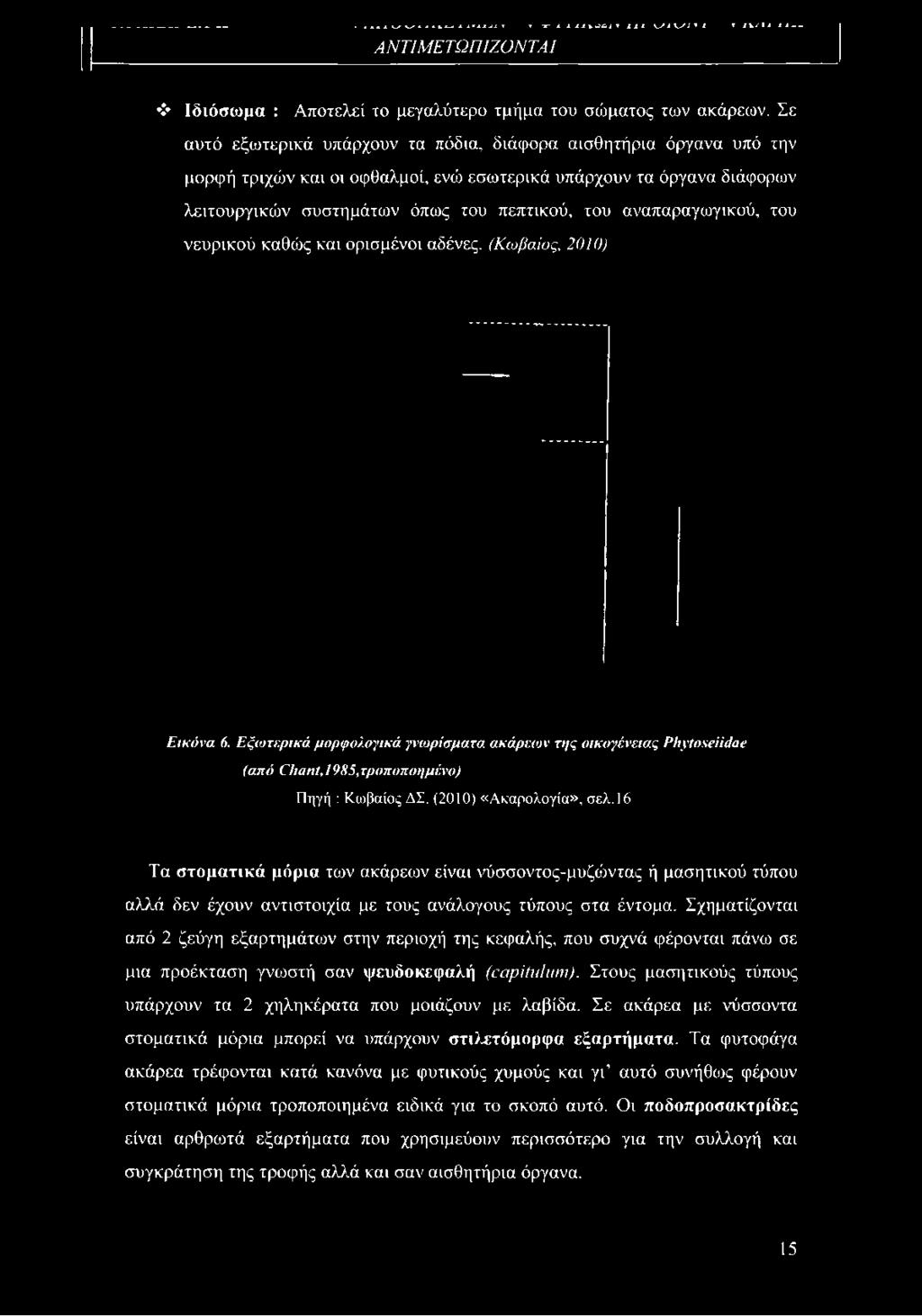 αναπαραγωγικού, του νευρικού καθώς και ορισμένοι αδένες. (Κωβαίος, 2010) Εικόνα 6.