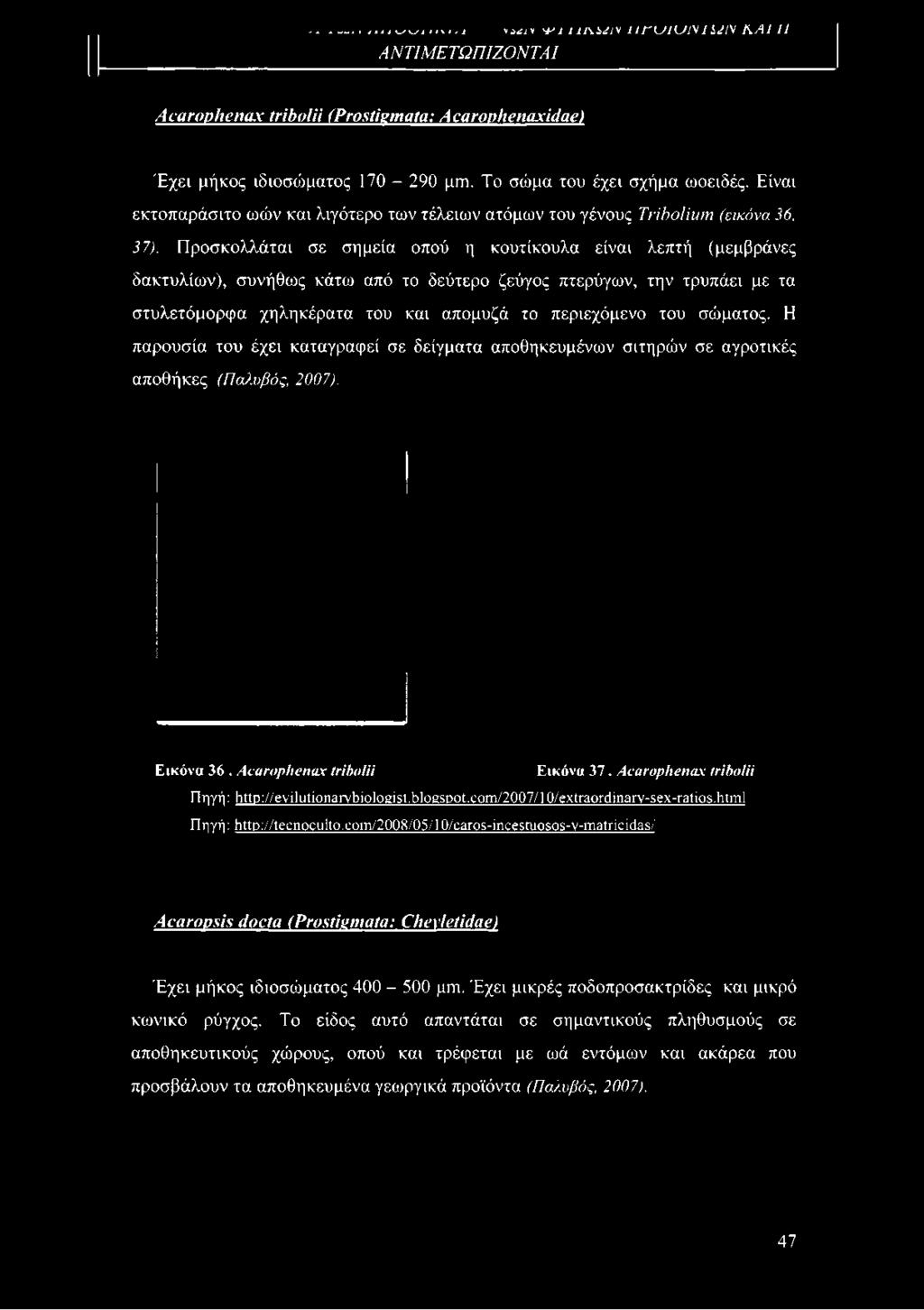 Προσκολλάται σε σημεία οπού η κουτίκουλα είναι λεπτή (μεμβράνες δακτυλίων), συνήθως κάτω από το δεύτερο ζεύγος πτερύγων, την τρυπάει με τα στυλετόμορφα χηληκέρατα του και απομυζά το περιεχόμενο