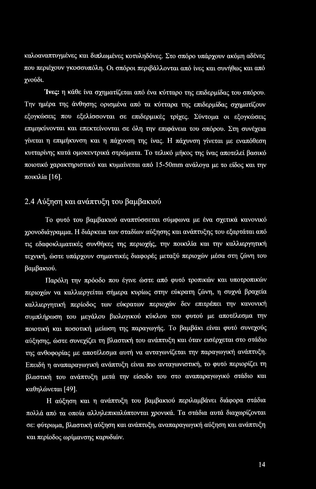 Σύντομα οι εξογκώσεις επιμηκύνονται και επεκτείνονται σε όλη την επιφάνεια του σπόρου. Στη συνέχεια γίνεται η επιμήκυνση και η πάχυνση της ίνας.