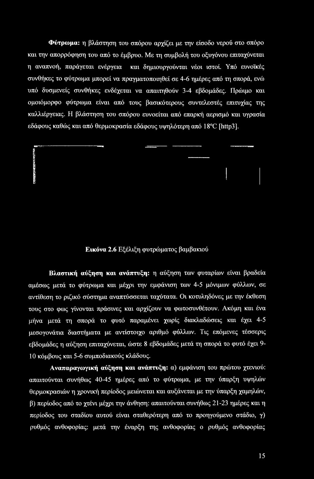 Η βλάστηση του σπόρου ευνοείται από επαρκή αερισμό και υγρασία εδάφους καθώς και από θερμοκρασία εδάφους υψηλότερη από 18 C [http3]. Εικόνα 2.