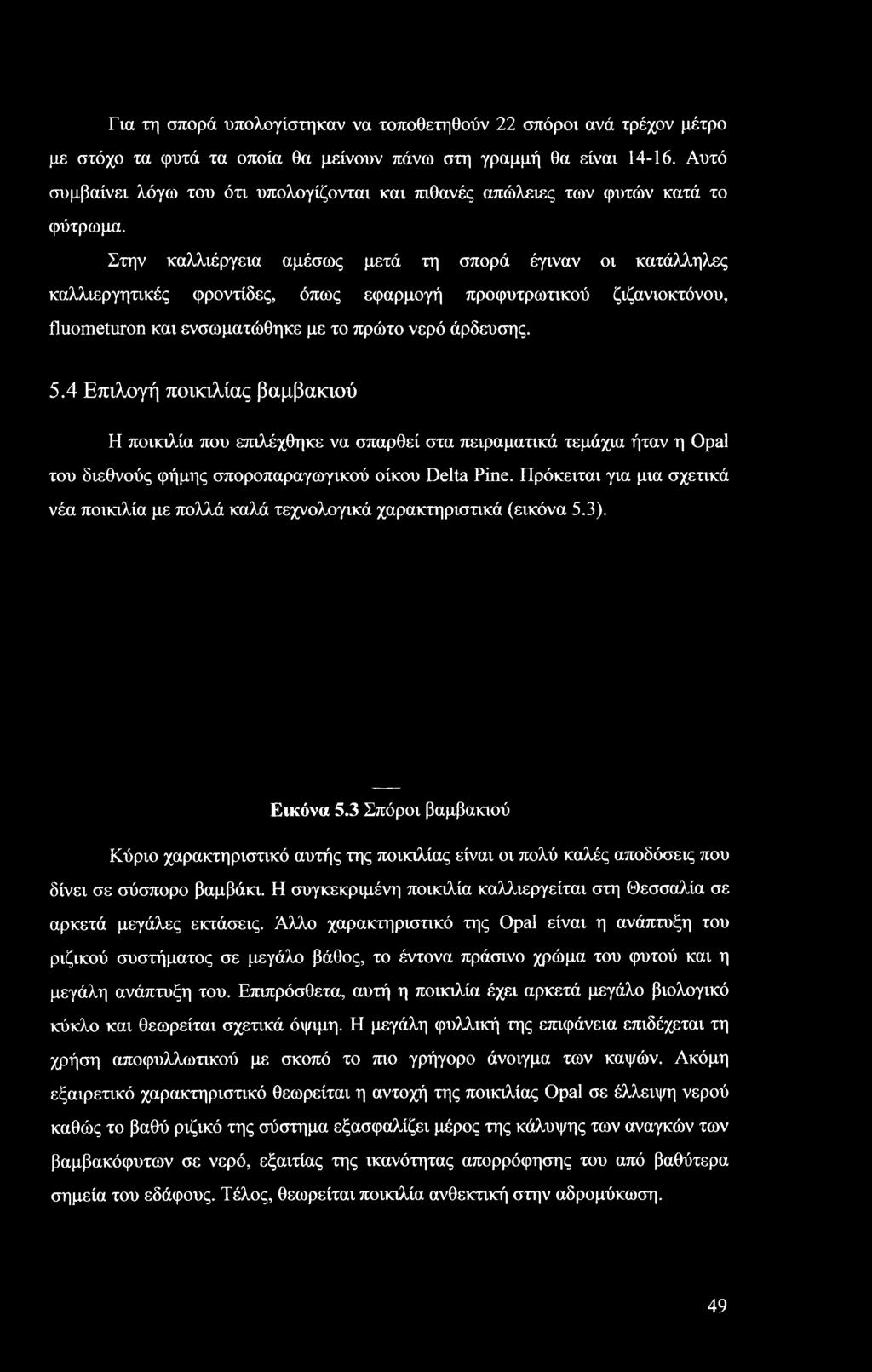 Πρόκειται για μια σχετικά νέα ποικιλία με πολλά καλά τεχνολογικά χαρακτηριστικά (εικόνα 5.3). Εικόνα 5.