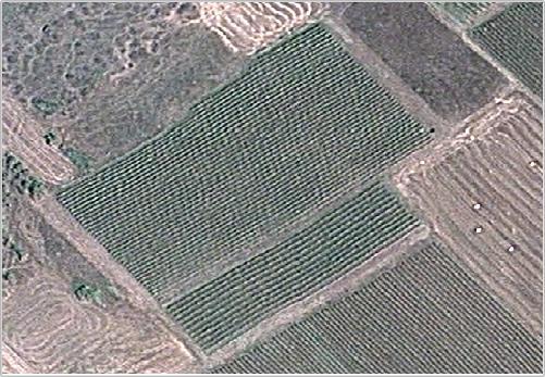 Μετά από τη διαδικασία συγχώνευσης, οι δορυφορικές εικόνες περικόπηκαν (crop) σε μικρότερες διαστάσεις, προκειμένου αφενός να απεικονίζουν την ειδικότερη περιοχή μελέτης για κάθε περιοχή, ενώ