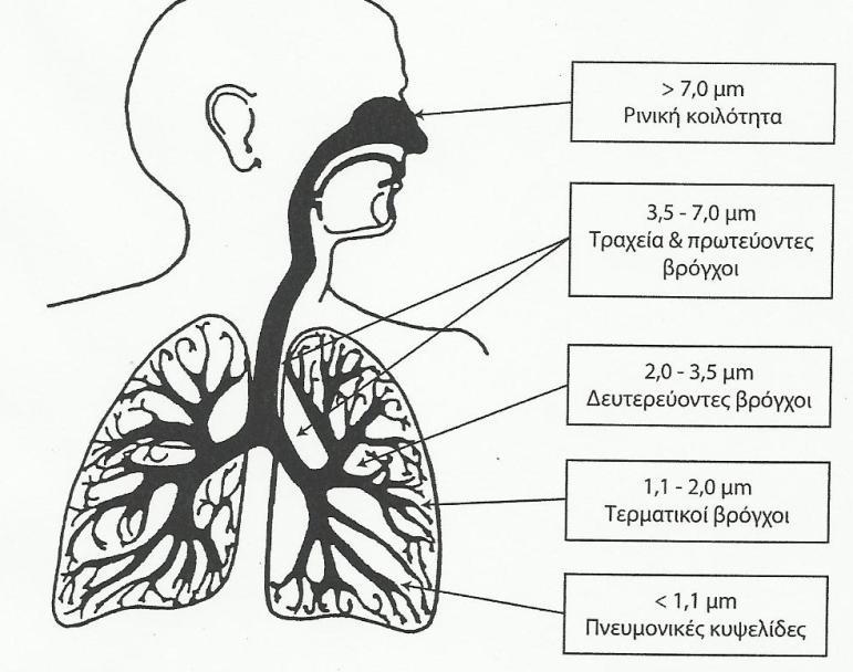 Αυξημένες συγκεντρώσεις του αριθμού των σωματιδίων < 100 nm οδηγούν σε αύξηση της νοσηρότητας και