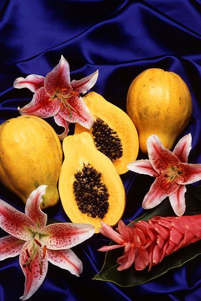 Carica papaya, Caricaceae Ο οπός του καρπού περιέχει τα ένζυμα παπαΐνη και χυμοπαπαΐνη πρωτεάσες / πεπτιδάσες: διασπούν