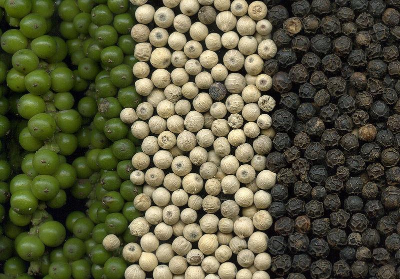 Πράσινο, λευκό και μαύρο πιπέρι (Piper nigrum)