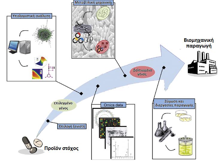Στρατηγική μεταβολικής μηχανικής - Τεχνικές Γονιδιωματικής ανάλυσης