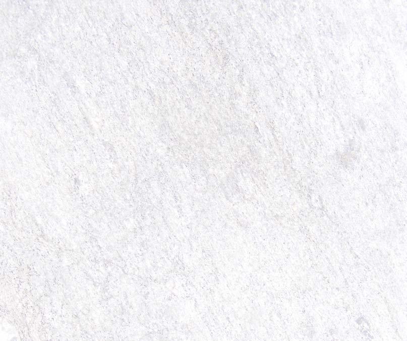 ne gi zaveri normativite za hrana kaj gradonaëalnikot na opπtinata, a vo gradot Skopje kaj gradonaëalnikot na opπtinata na podraëjeto na gradot Skopje i ugostitelskite uslugi ne gi dava vo soodvetna