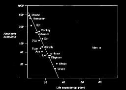 & π 3 billion heart beats/lifetime