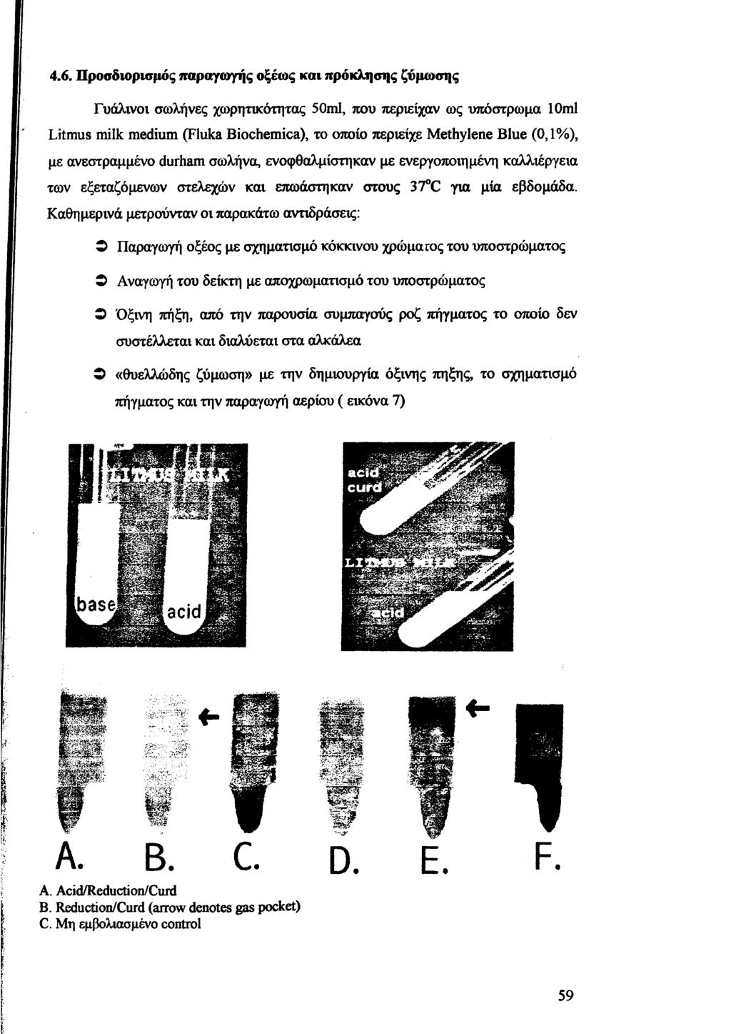 4.6. Προσδιορισμός παραγωγής οξέως και πρόκλησης ζύμωσης Γυάλινοι σωλήνες χωρητικότητας 50ml, που περιείχαν ως υπόστρωμα 10ml Litmus milk medium (Fluka Biochemica), το οποίο περιείχε Methylene Blue
