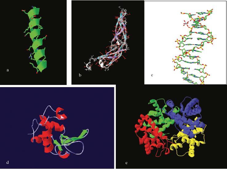 ΠΑΡΑΔΕΙΓΜΑ Μετουσίωση (denaturation) πρωτεϊνών Οι πρωτεΐνες στη φυσική τους μορφή έχουν μοναδικές διαμορφώσεις που αποτελούνται από περιοχές μεγαλύτερης (α-έλικες, β-πτυχωτές επιφάνειες) ή μικρότερης