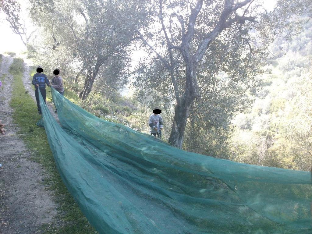 Επισκεφτήκαμε έναν