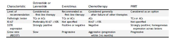 European Neuroendocrine Tumor