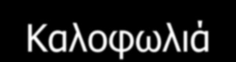 Ιόνιο Πανεπιστήμιο 10ο Πανελλήνιο