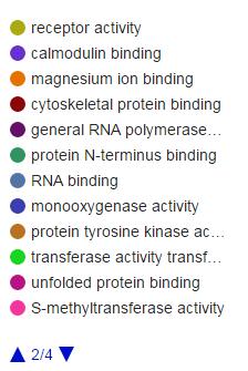 Εικόνα 24: Οι υπόλοιπες μοριακές λειτουργίες στις οποίες εμπλέκονται τα 32 γονίδια για το σακχαρώδη διαβήτη τύπου 1.