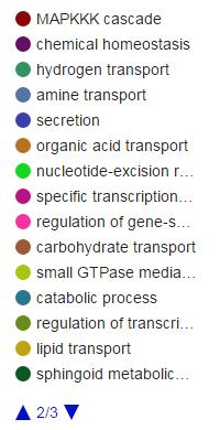 Βιοχημικά-Μεταβολικά μονοπάτια (Pathway information): Από το πίνακα που προκύπτει, απεικονίζονται 29 βιοχημικά/μεταβολικά μονοπάτια σύμφωνα με τη βάση δεδομένων της Kegg