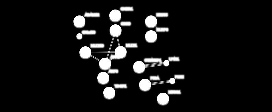 Εικόνα 36: Δίκτυο αλληλεπιδράσεων μεταξύ των γονιδίων.