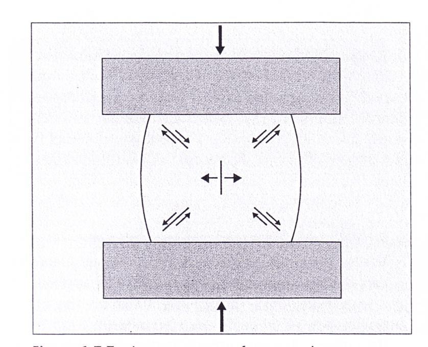 Σχήμα 11, R.V.Noort,2007. Η μέγιστη δύναμη αντοχής σε θλίψη υπολογίζεται από το εμβαδόν της διατομής του δοκιμίου και την μέγιστη δύναμη, η οποία εφαρμόζεται στη μάζα του υλικού. (F.A.Peyton και συν.